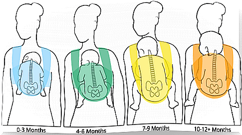 Baby carriers of different ages