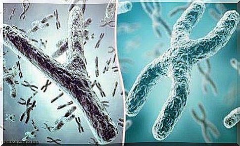 The most common abnormalities in the structure of chromosomes are deletion (deletion), duplication (reproduction), inversion, and translocation.