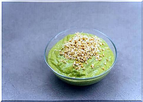 Realfooding - selbstgemachte Guacamole