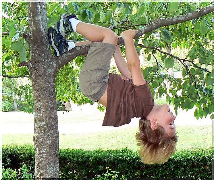 Roots and wings for child on the tree