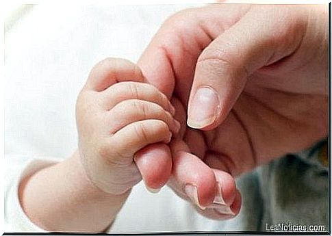 Baby hand holds fingers of mother