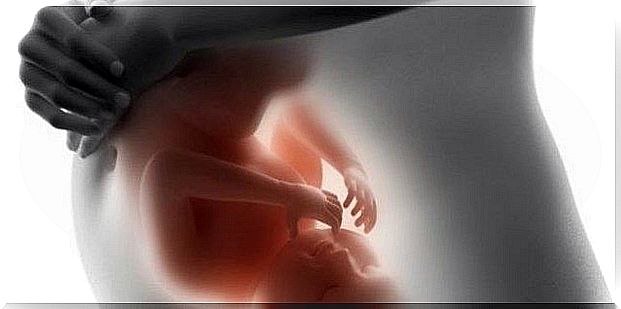 The development of the baby in the womb month after month