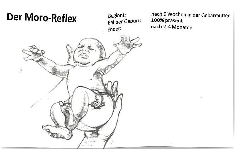 The Moro reflex - details