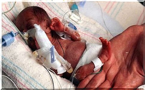 Premature baby lies next to the mother's hand.